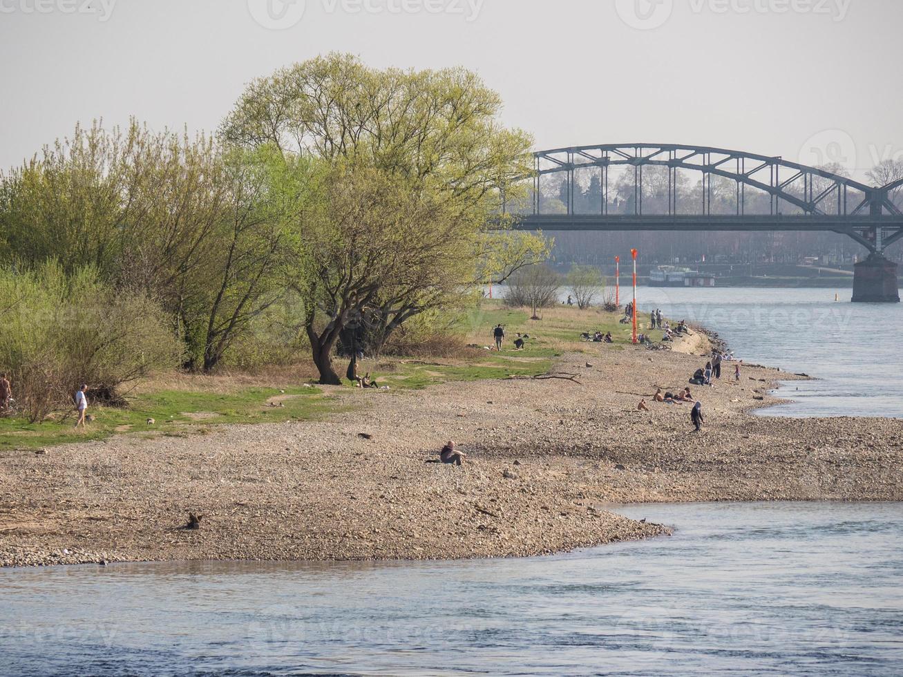 the river rhine in germany photo