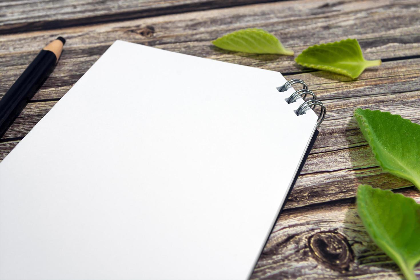 Notepad and pencil with green leaf on wooden desk. photo