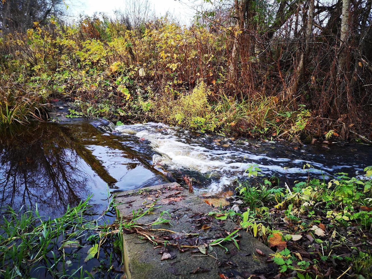 fuerte corriente en un pequeño río. rápidos en el agua foto