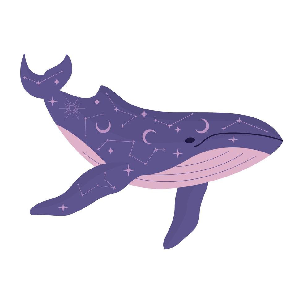 whale with constellations vector