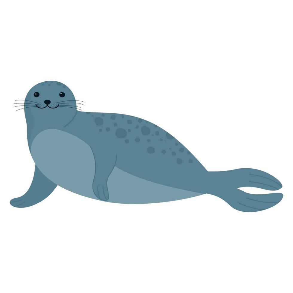 cute cartoon seal vector