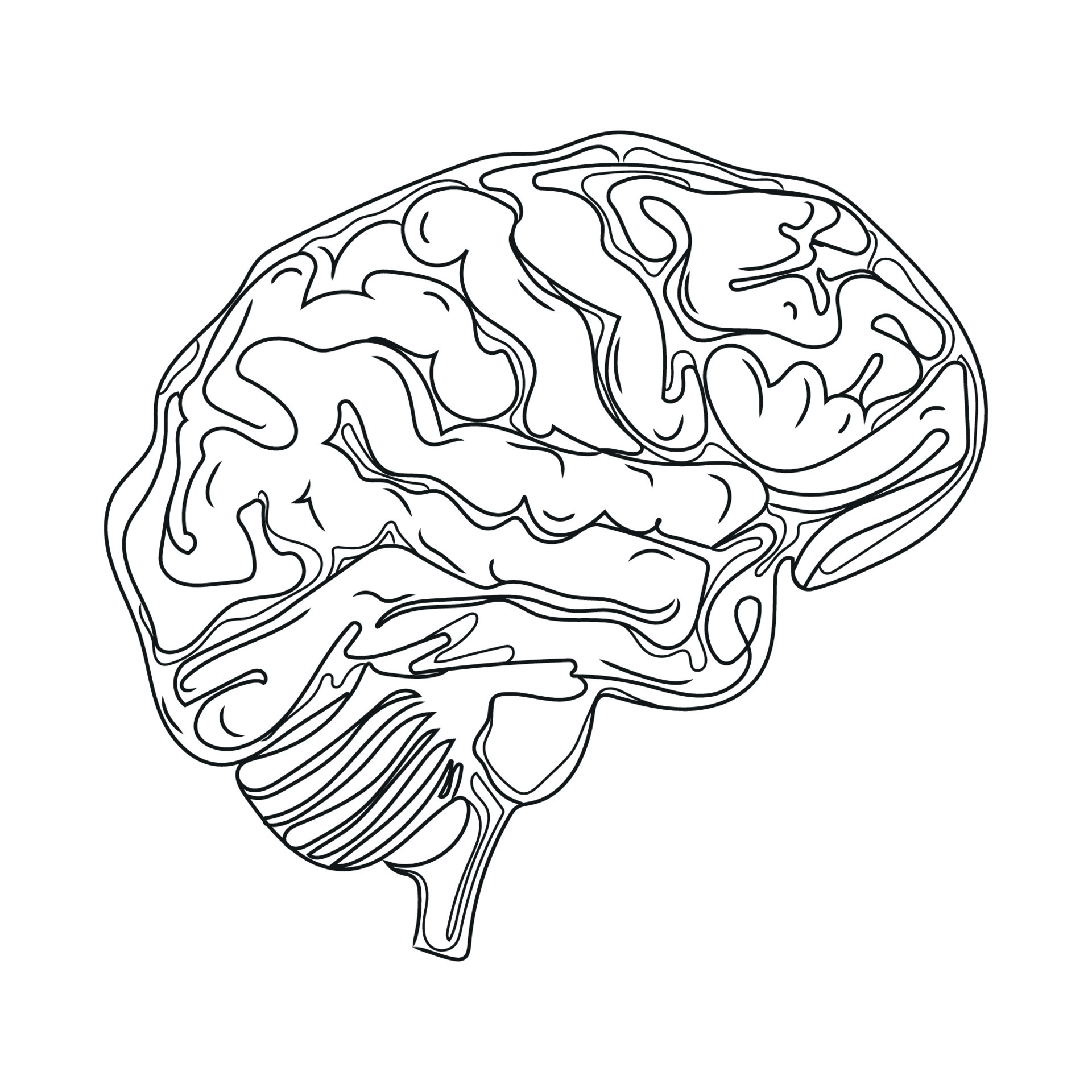 Human Brain hand-drawn icon of human internal organs vector ...