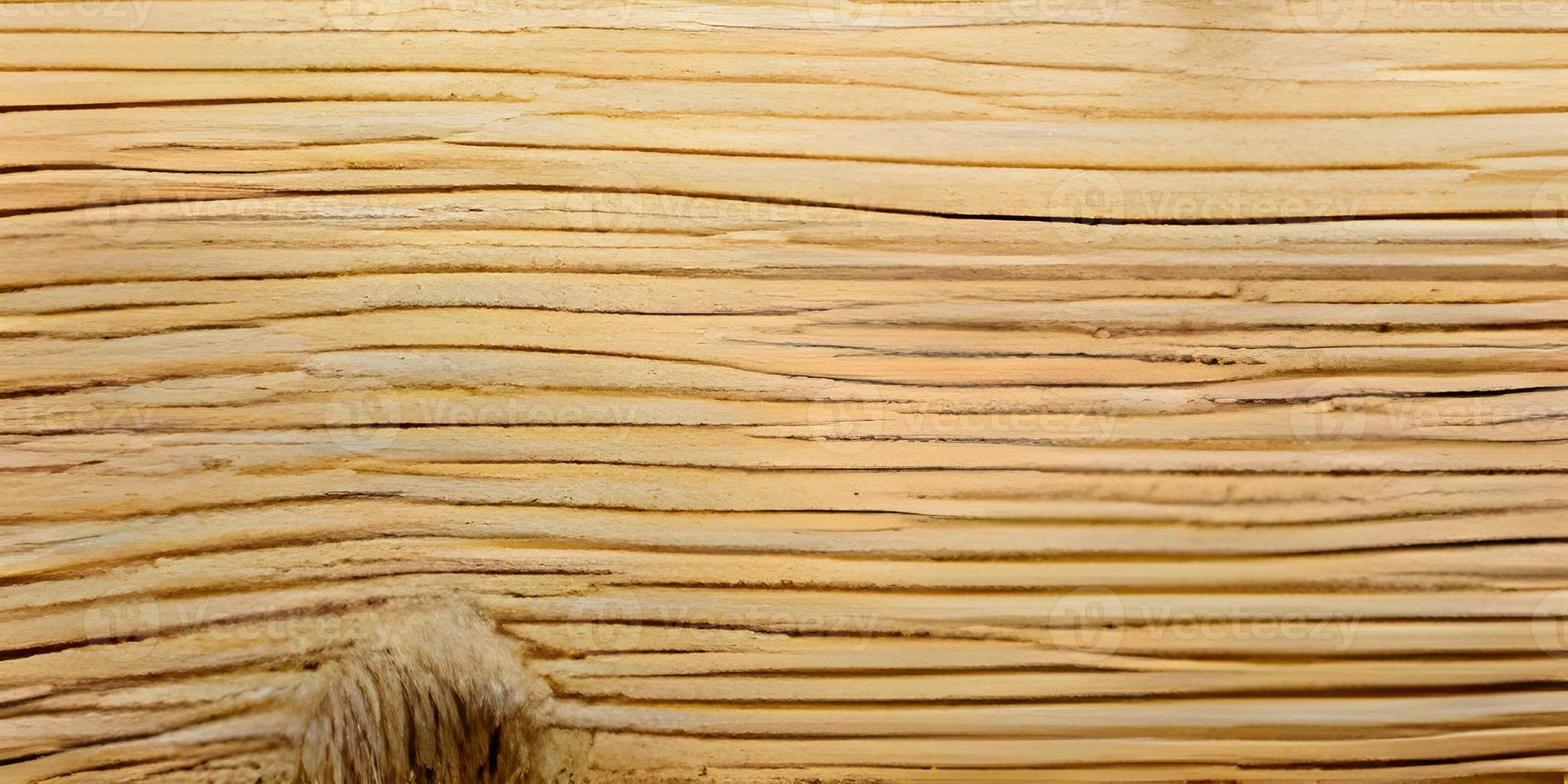 Plywood texture background, wooden surface in natural pattern for design art work. photo