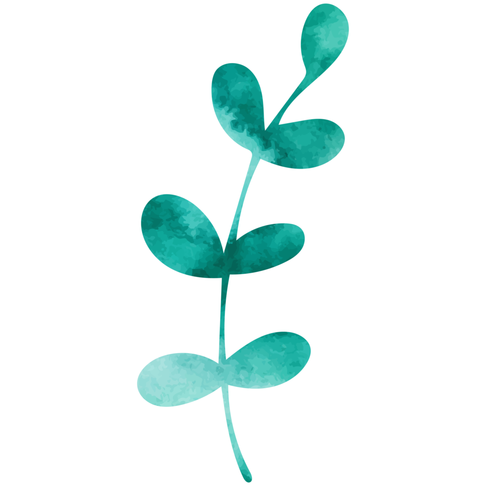 Simple watercolor green leaf. Hand draw illustration, clipart, png