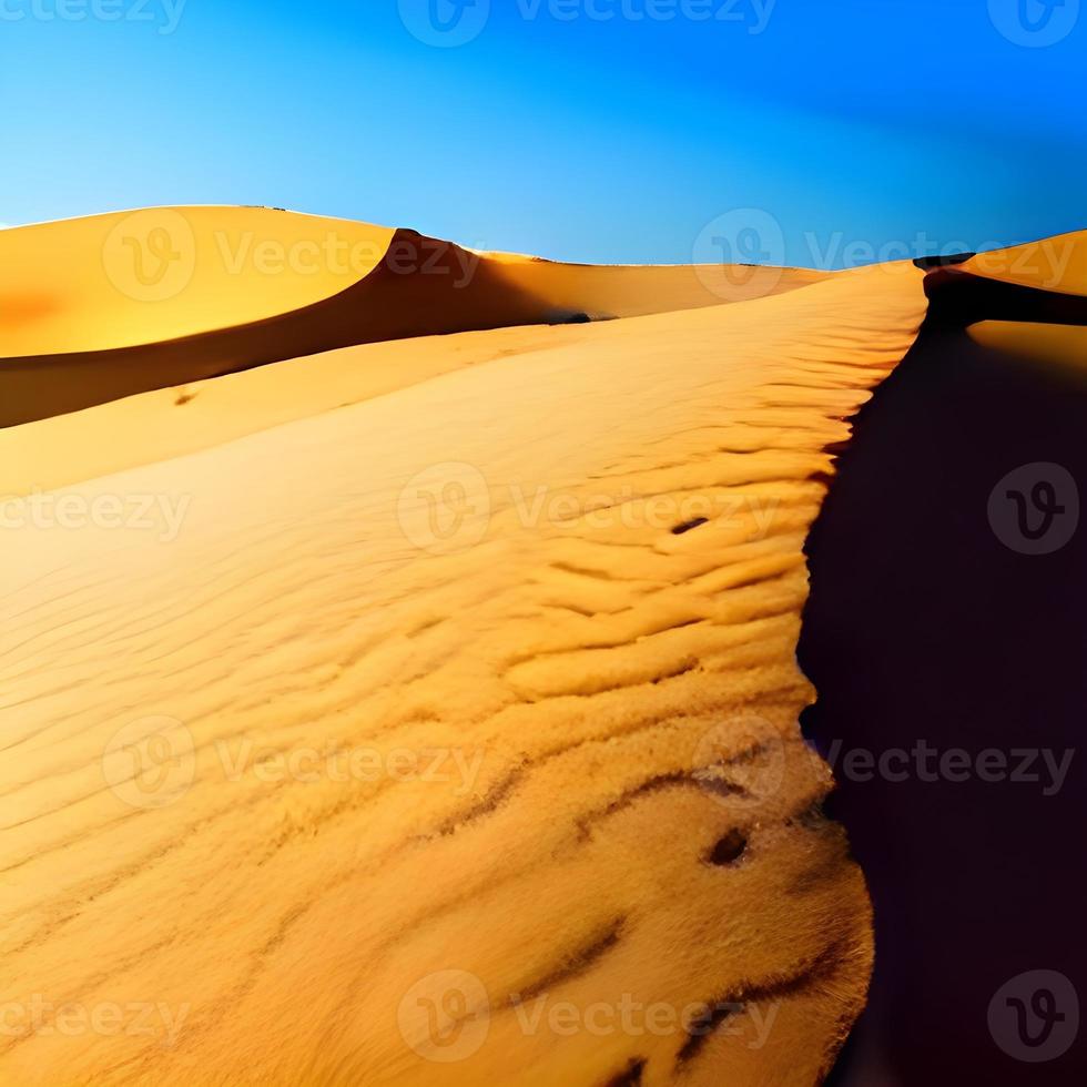 Sand dunes in the Sahara Desert photo