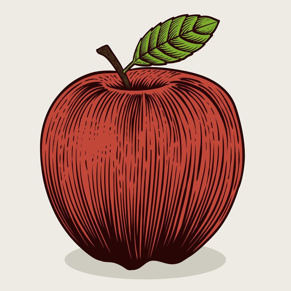 Illustration red vintage apple fruit with engraving style on white background vector
