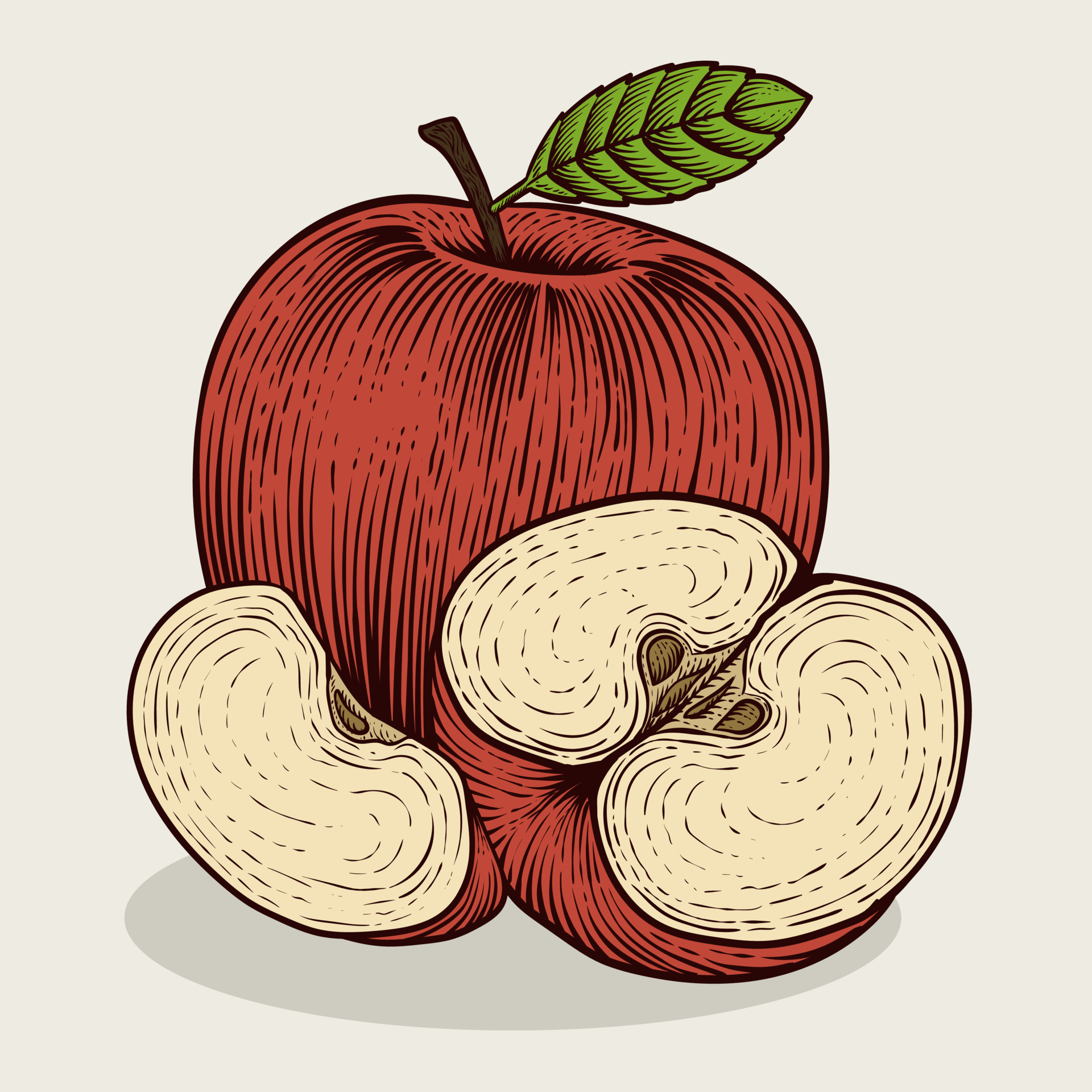 Illustration vintage apple fruit with engraving style on white