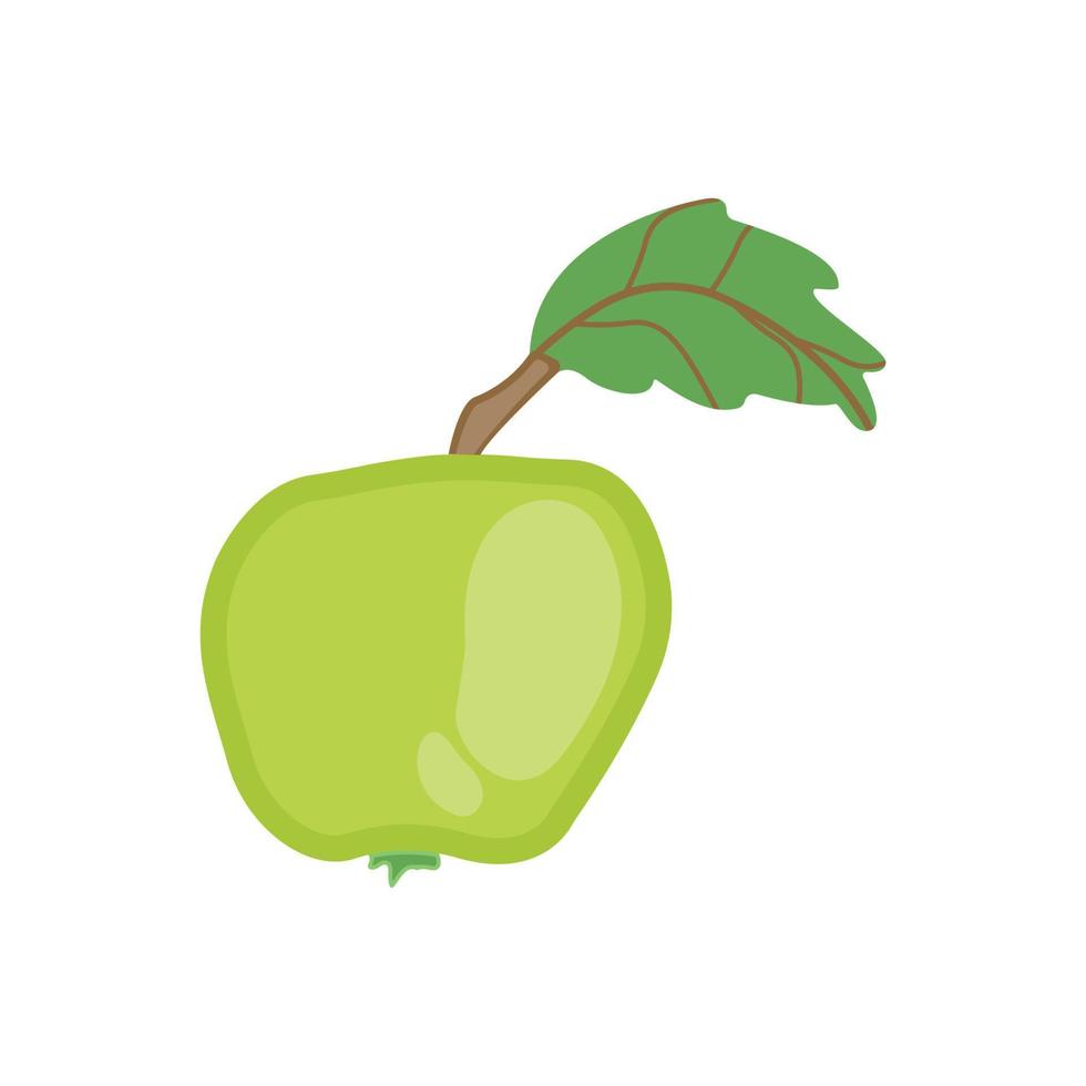 A gleaming green apple as a vector illustration. Isolated fresh fruit on a white background