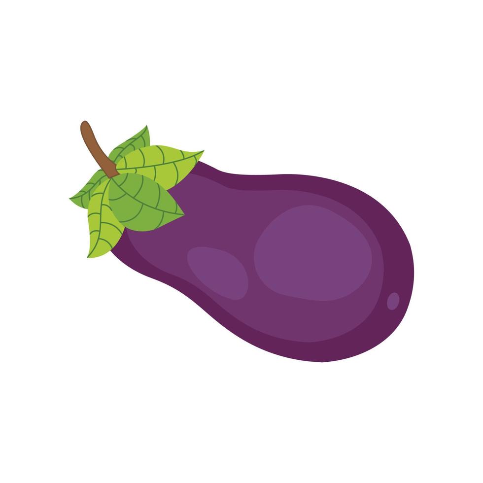 Vector illustration of an eggplant on a white background