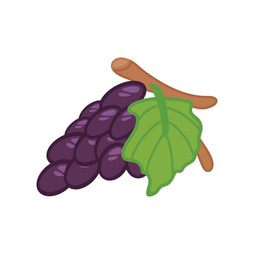Purple grapes in a bunch Isolated on a white background, vector illustration