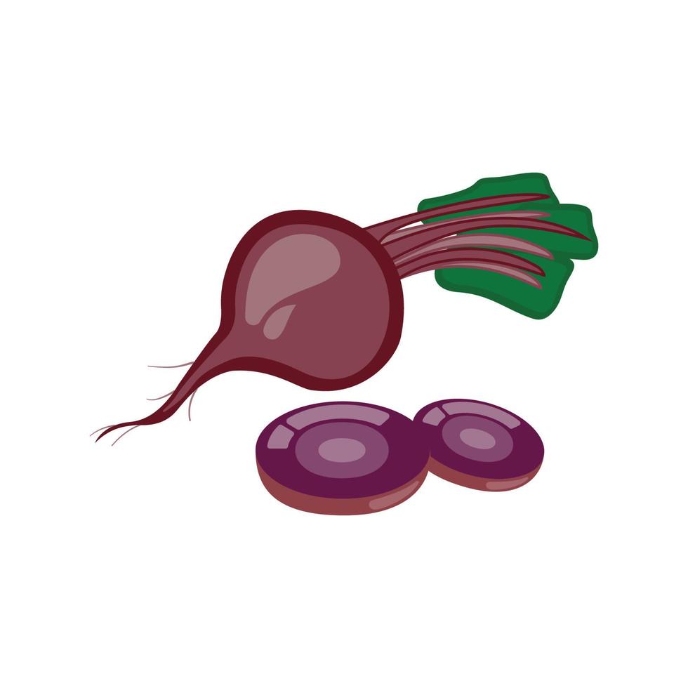 Isolated bits on a white background Half-leaved red beets, fresh. Vector illustration of vegetarian food