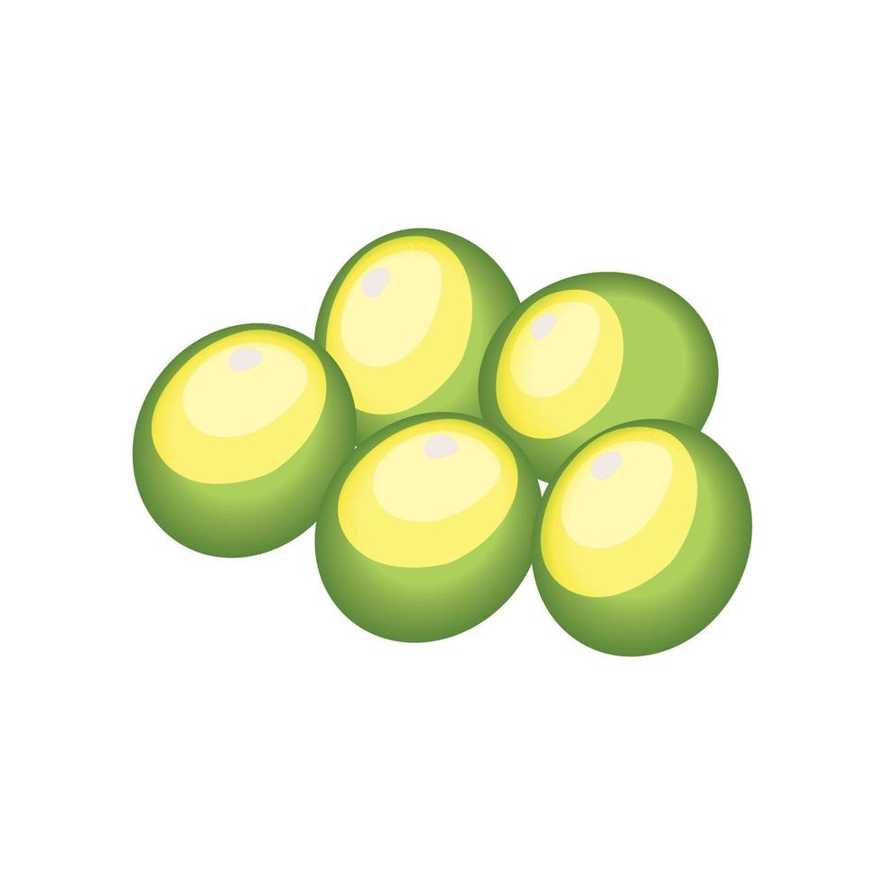 fruta de uvas verdes vector