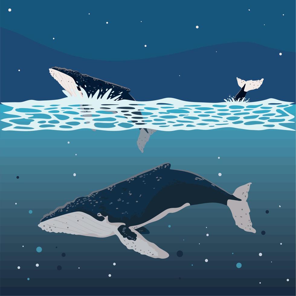 ballenas jorobadas en el océano vector