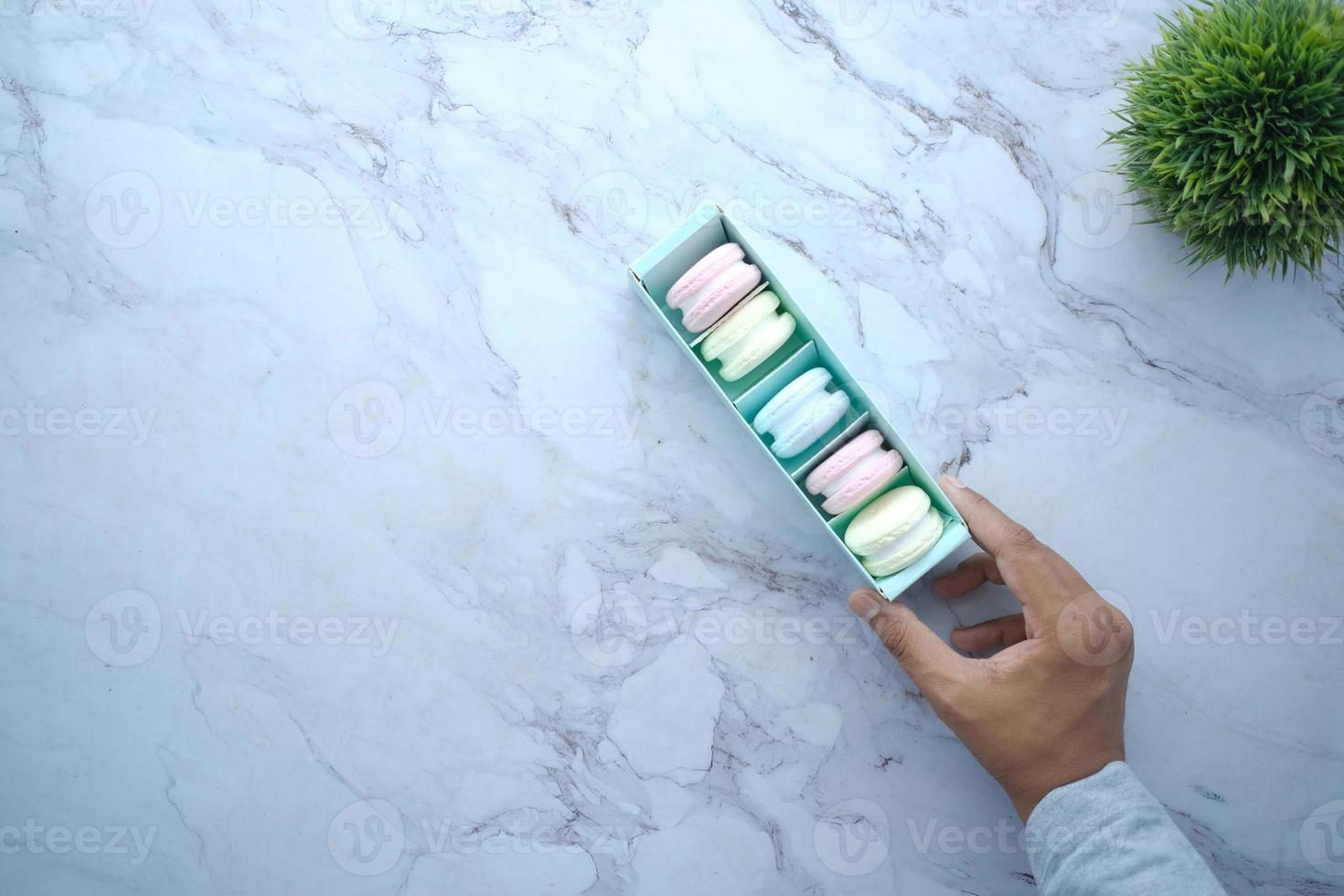 macaroon in a paper box on light green background photo