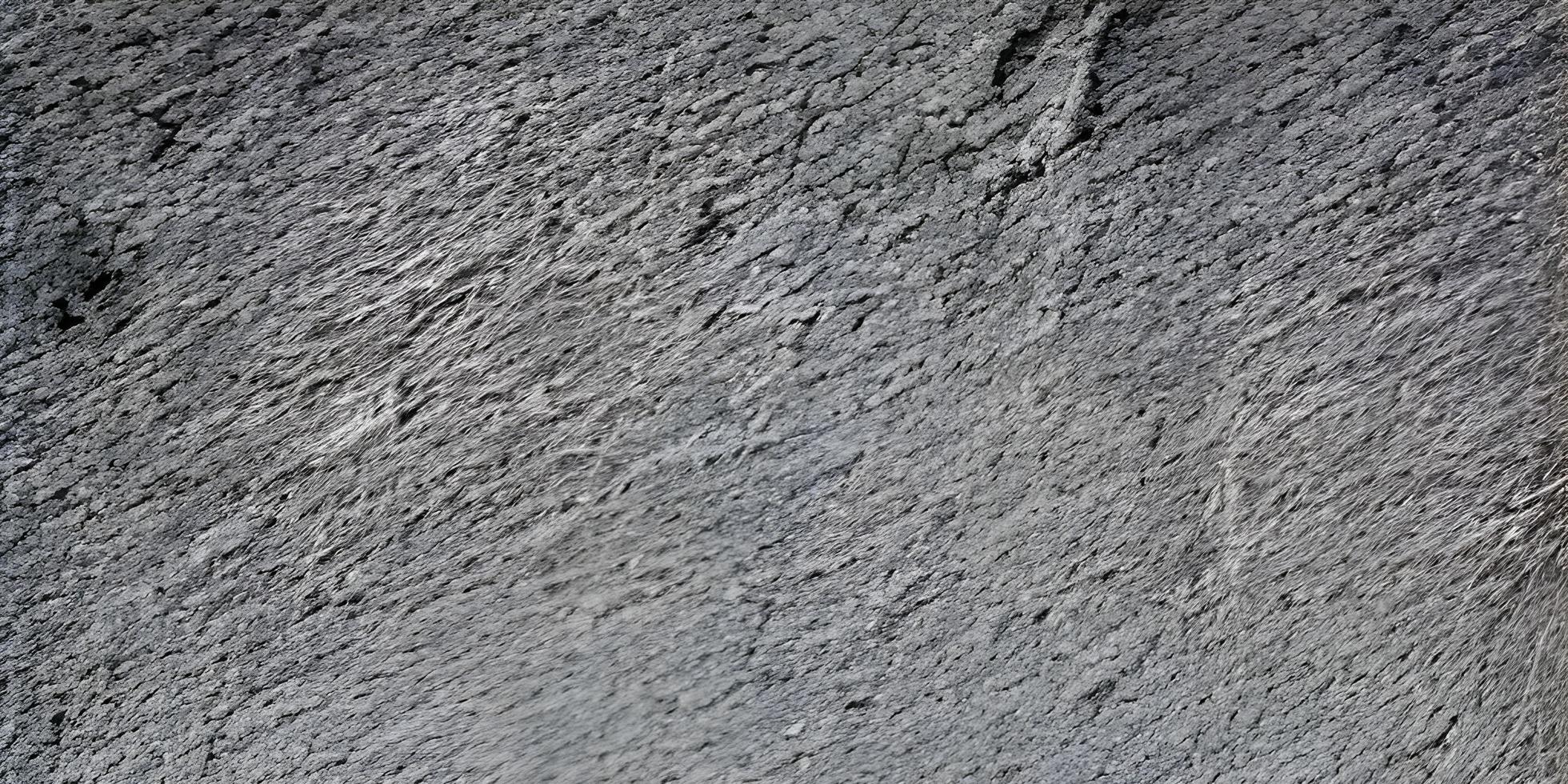 Old wall texture cement dark black, gray background. abstract grey color design is light with white gradient background. photo