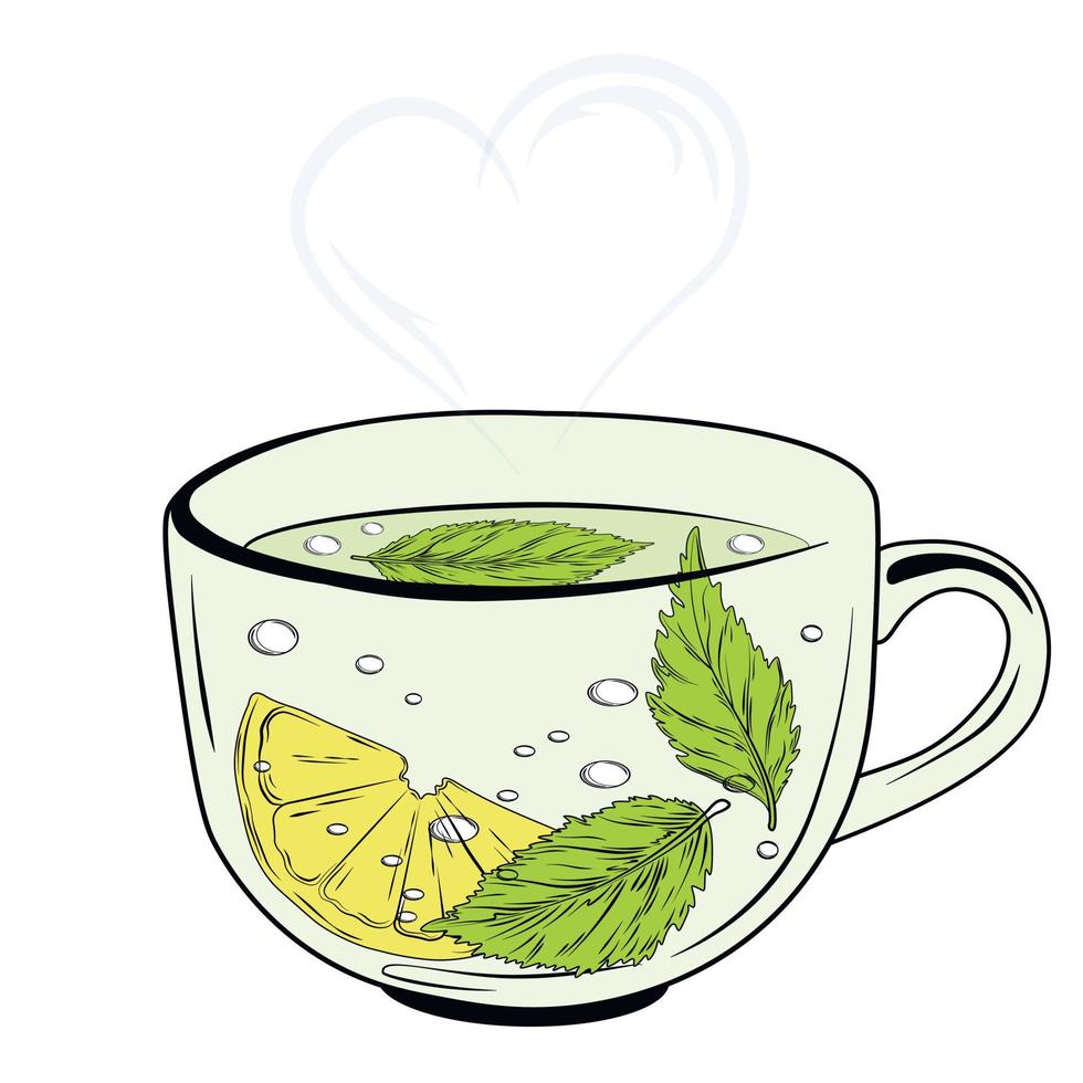 A mug of herbal tea. vector stock illustration. Hot drink with lemon and oregano leaves. Isolated on a white background. Green tea logo.