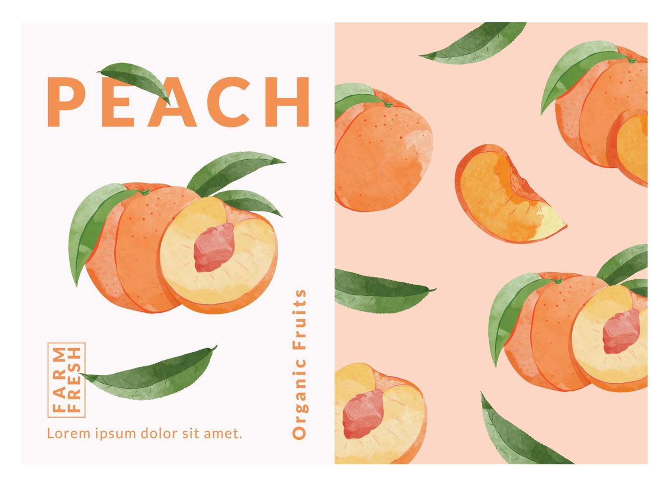 Peach packaging design templates, watercolour style vector illustration.