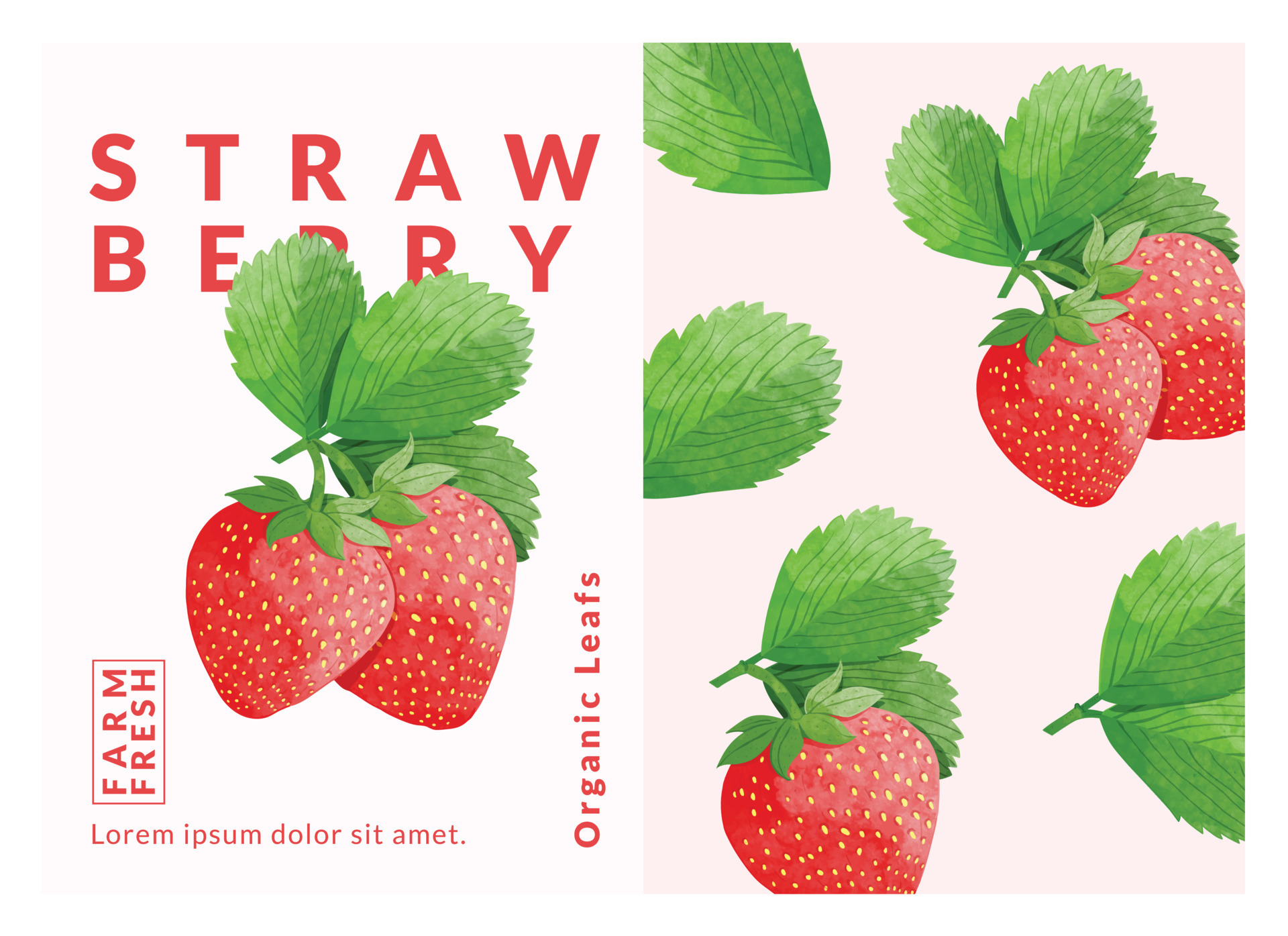 Strawberry packaging design templates, watercolour style vector
