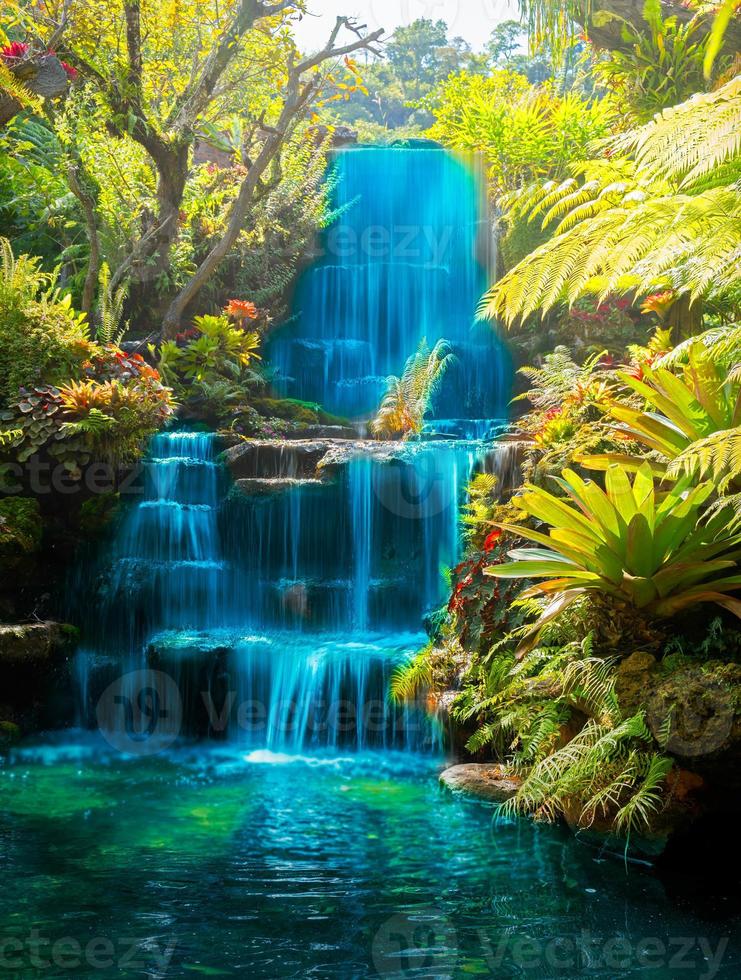 beautiful waterfall in garden decoration photo