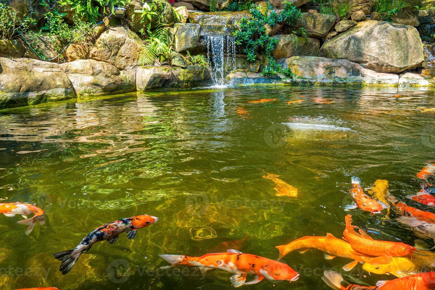 Japanese garden waterfalls. Lush green tropical Koi pond with waterfall from each side. A lush green garden with waterfall cascading down the rocky stones. Zen and peaceful background. photo