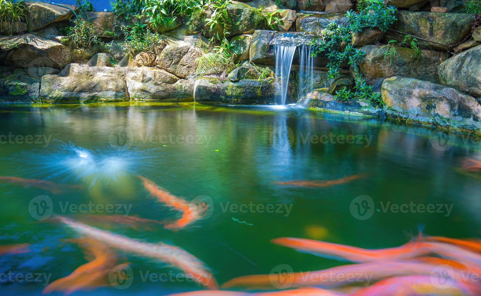 Japanese garden waterfalls. Lush green tropical Koi pond with waterfall from each side. A lush green garden with waterfall cascading down the rocky stones. Zen and peaceful background. photo