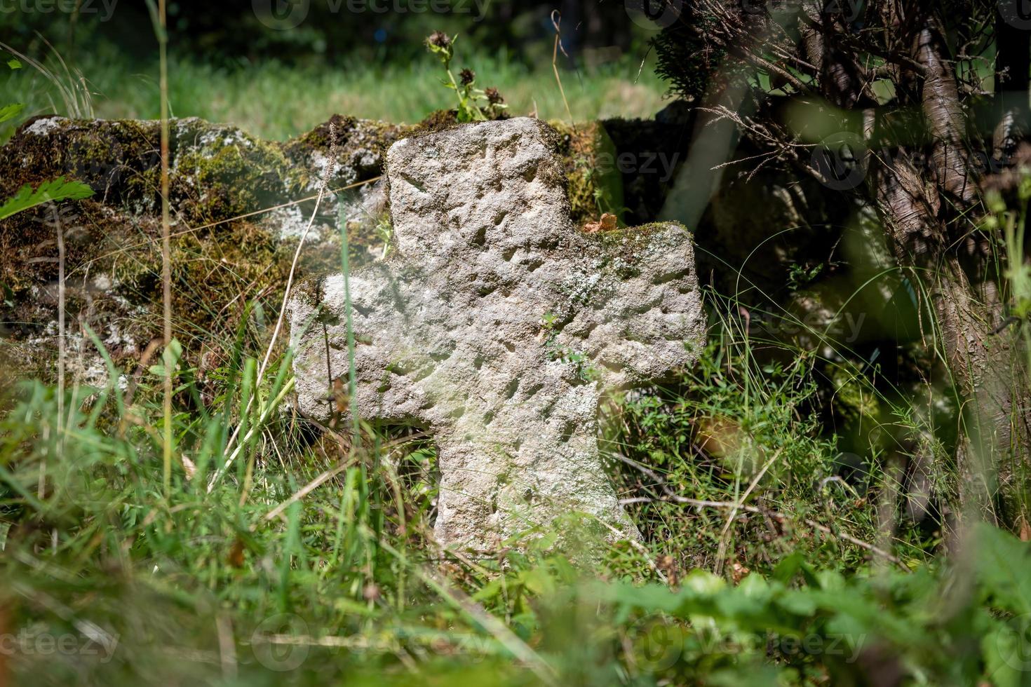 Very old single tombstone made of red sandstone overgrown with grass and weeds photo