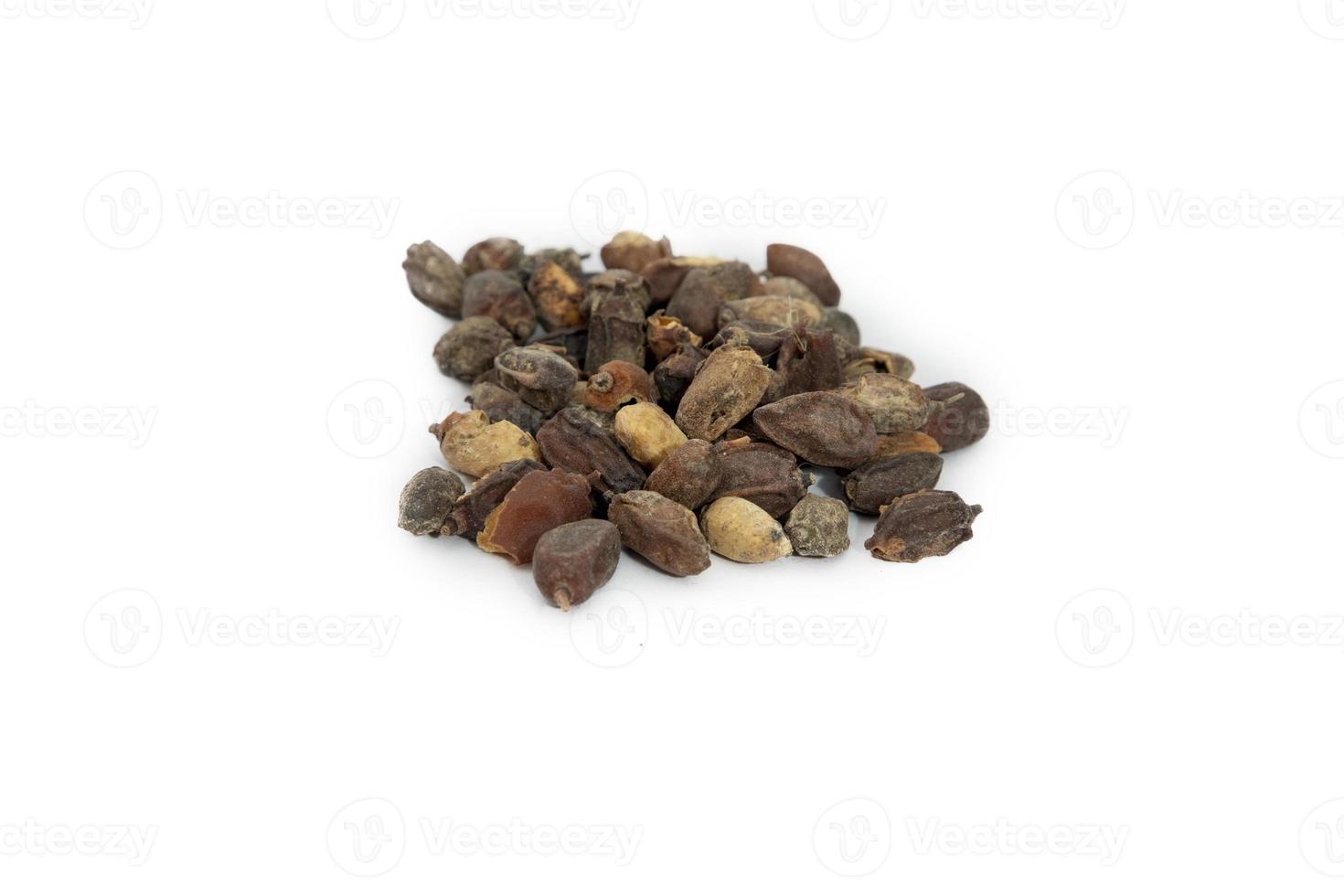 Dry neem or azadirachta indica seed in brown bowl on white background photo