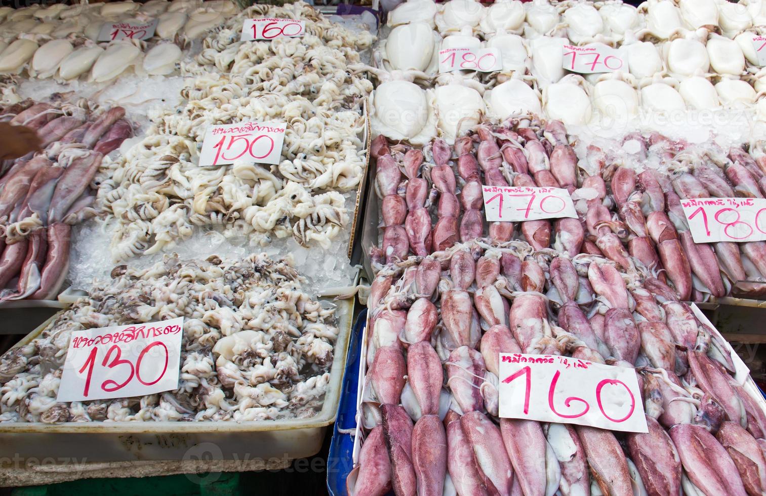 Fresh squid in market photo