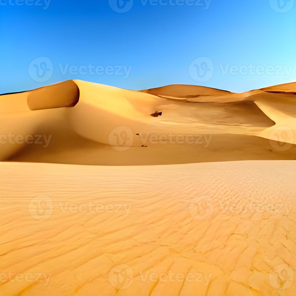 Sand dunes in the Sahara Desert photo