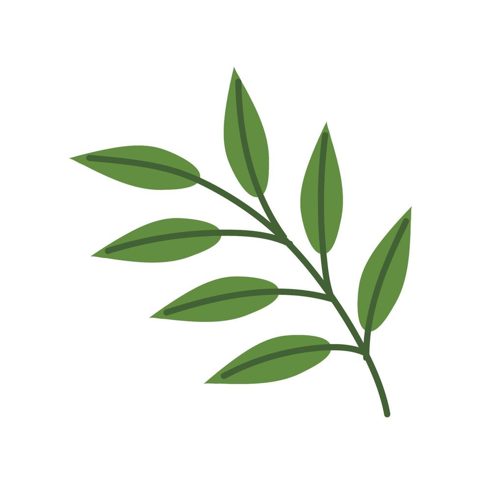 branch plant nature vector