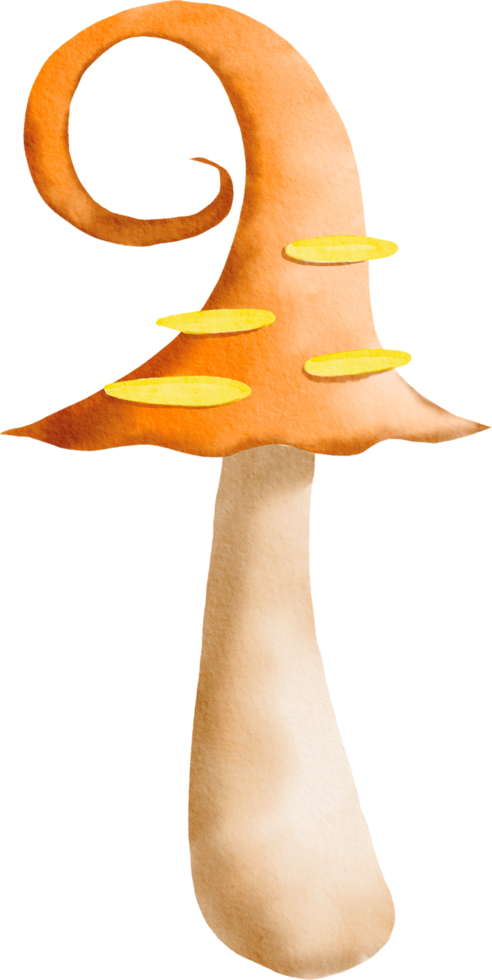 acquerello colorato fungo png
