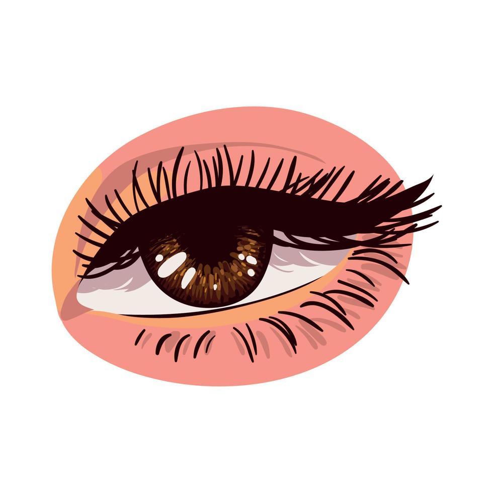 beautiful female eye vector