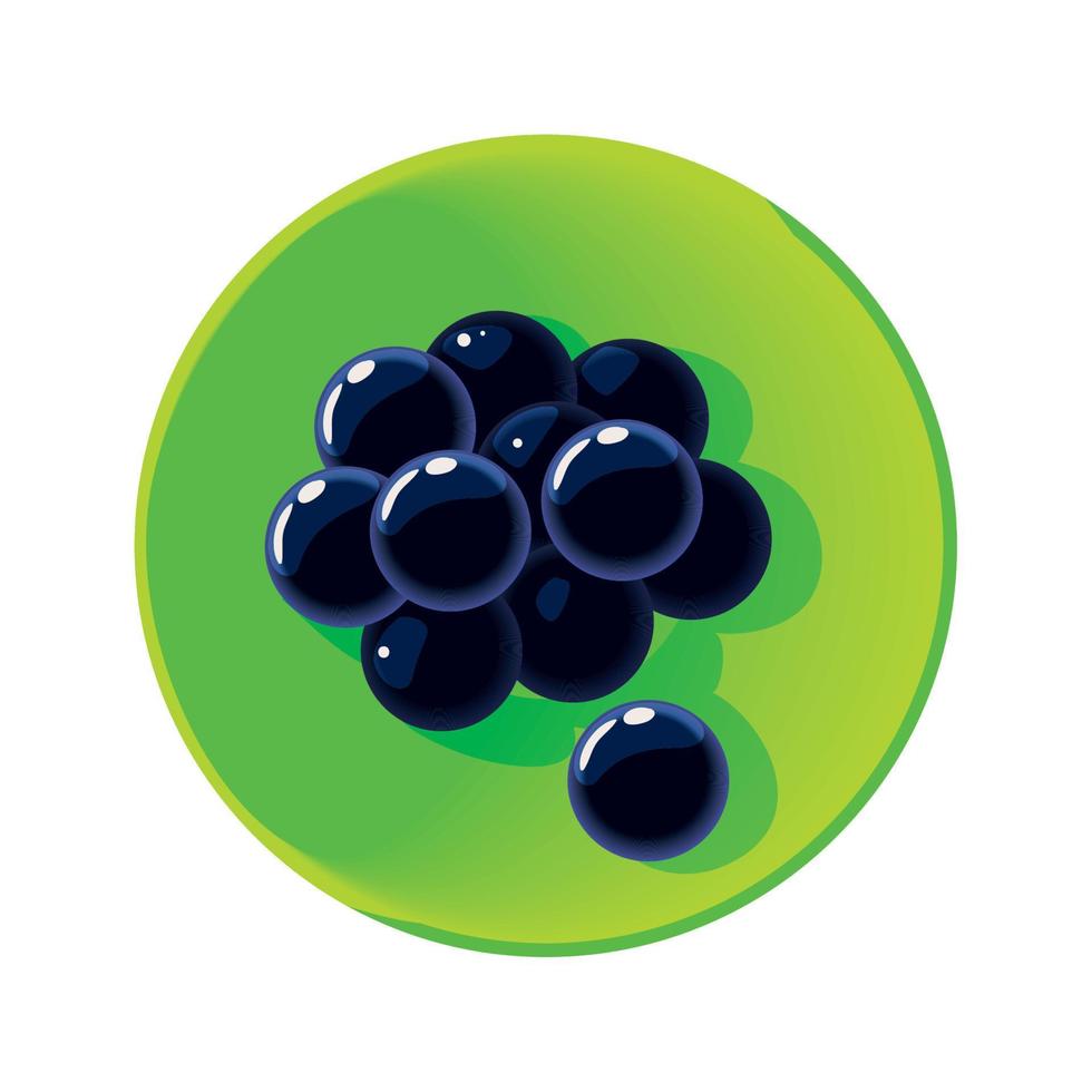 grapes in dish vector