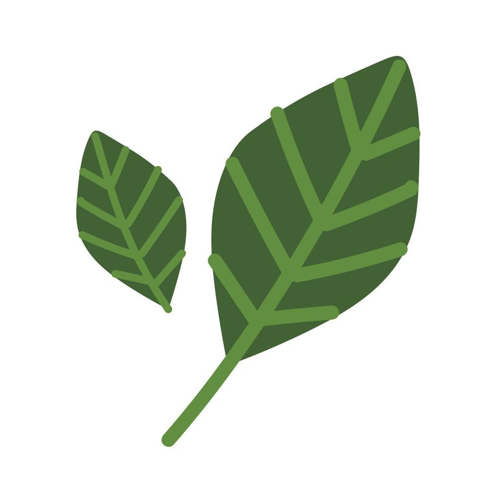 leaves nature icon vector