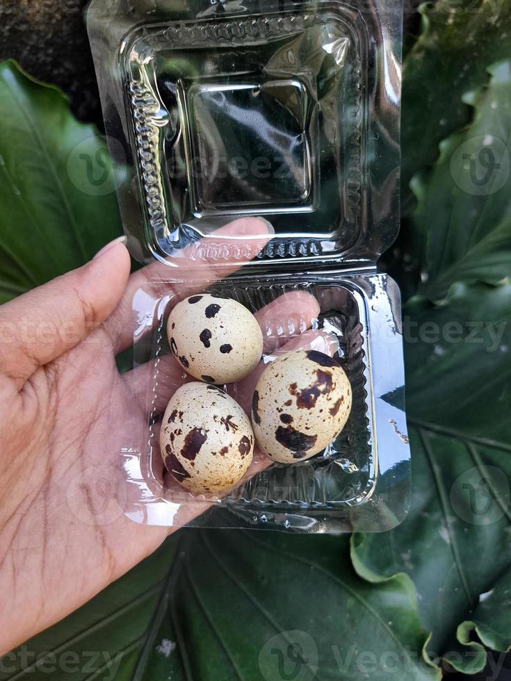 Quail eggs are rich in benefits that are good for health and can be processed into various delicious dishes. photo