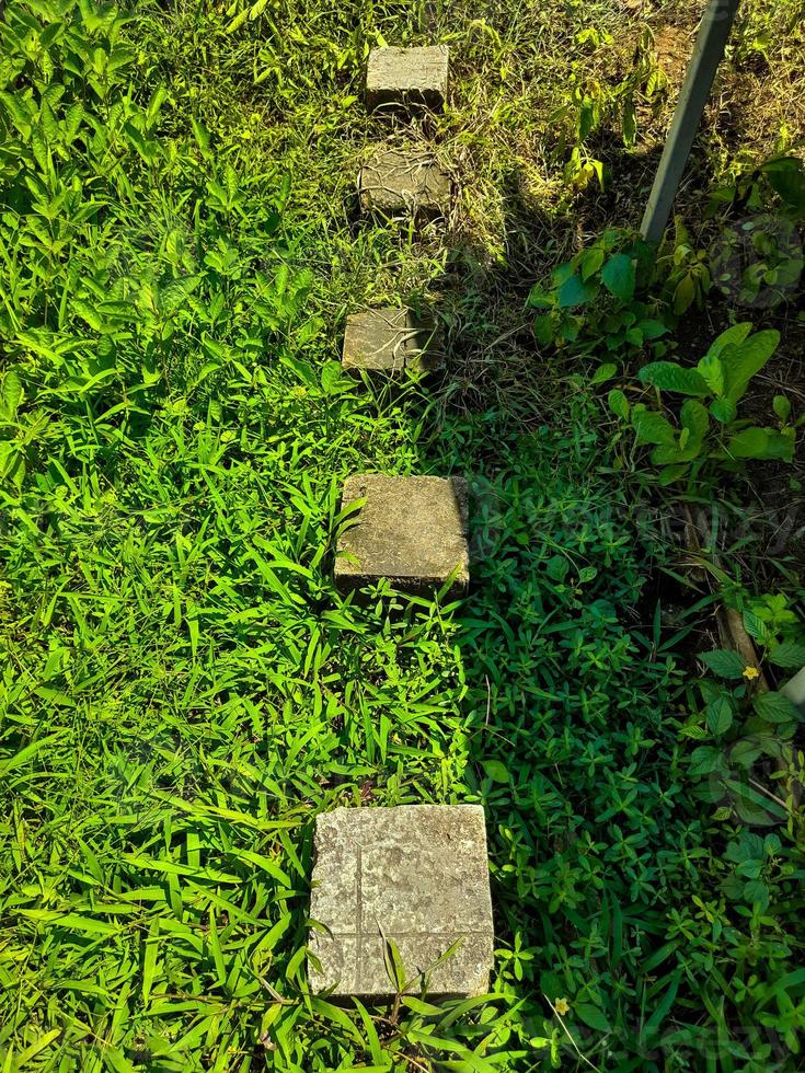 Rectangular paving stone pavement for walkways forms a path in the green grass of a park or garden, this paving stone pavement is made of molded cement. photo