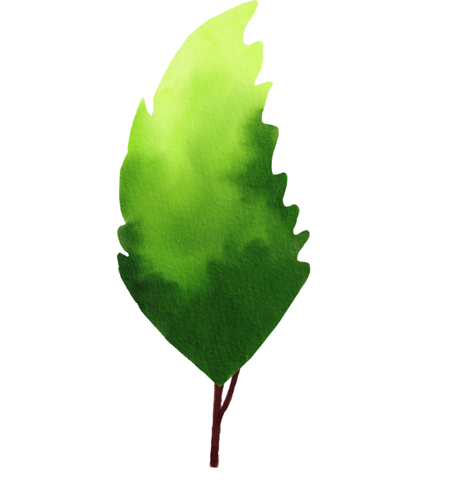 grön träd vattenfärg målad png