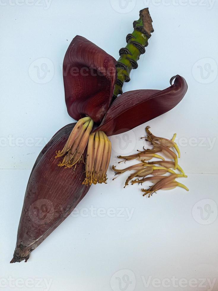 Banana heart or banana tree flower which is dark red slightly purplish, rich in vitamins and properties that are good for health, banana heart can be processed into delicious dishes photo