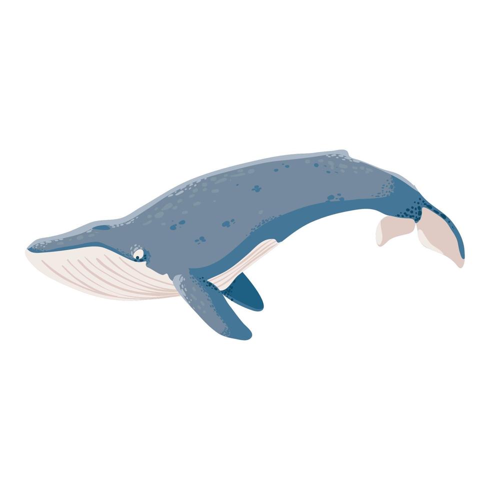 icono de ballena azul vector