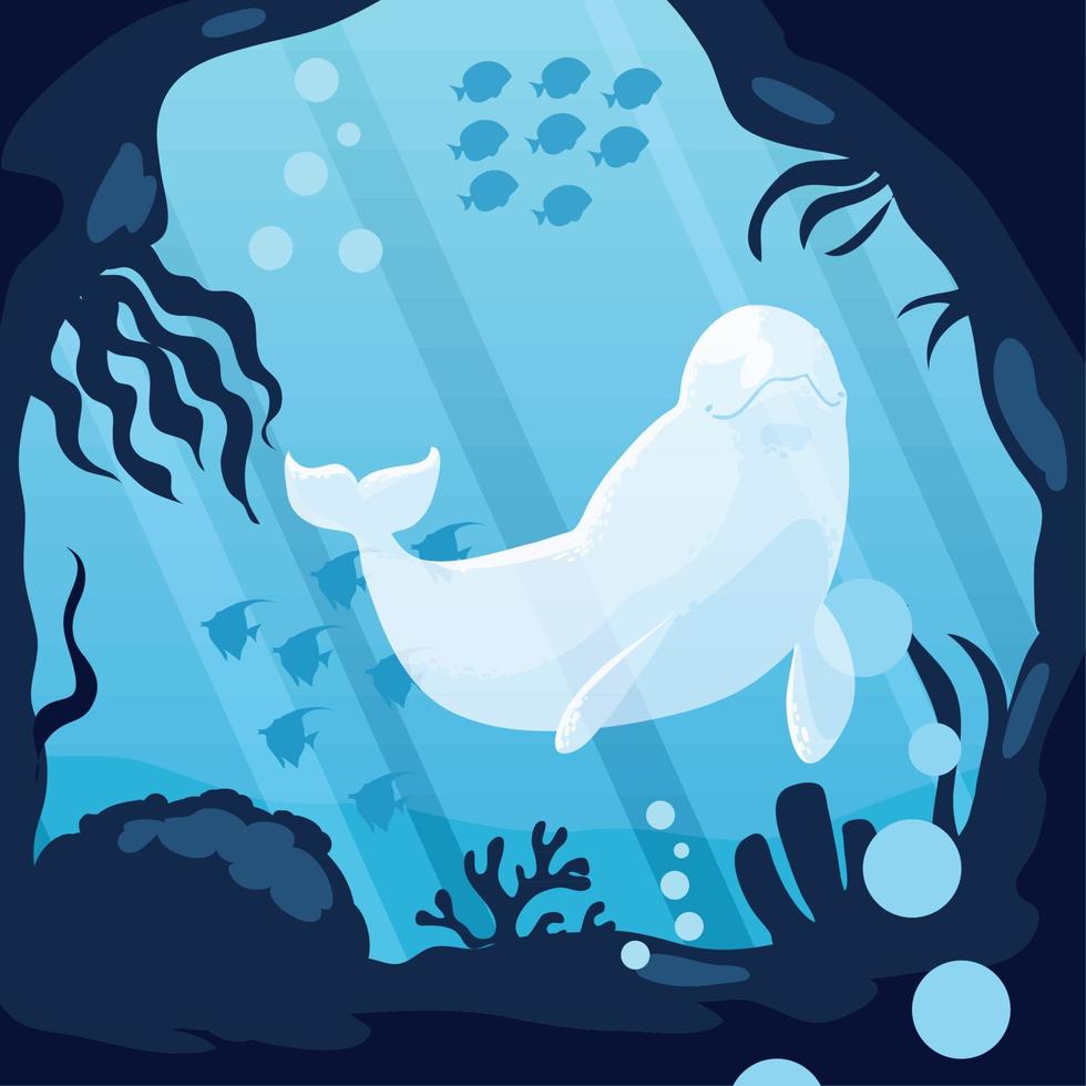 beluga and fishes vector