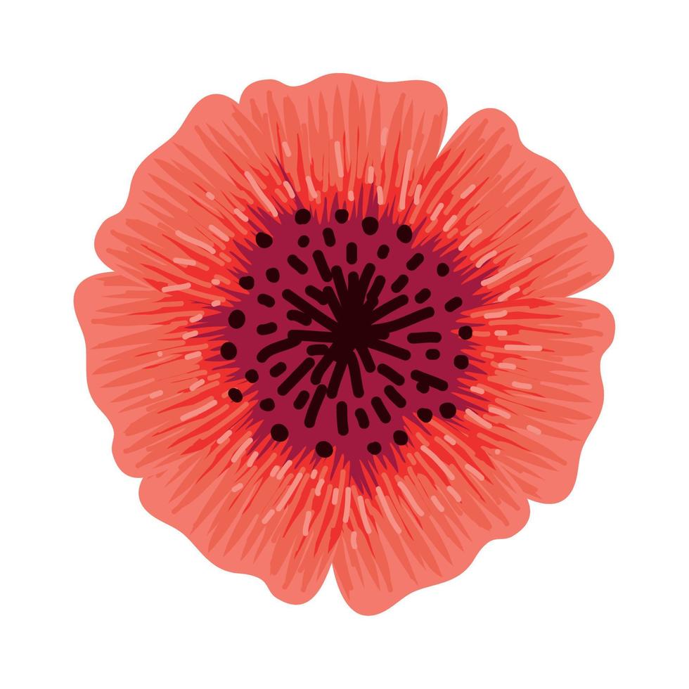 flower petals icon vector