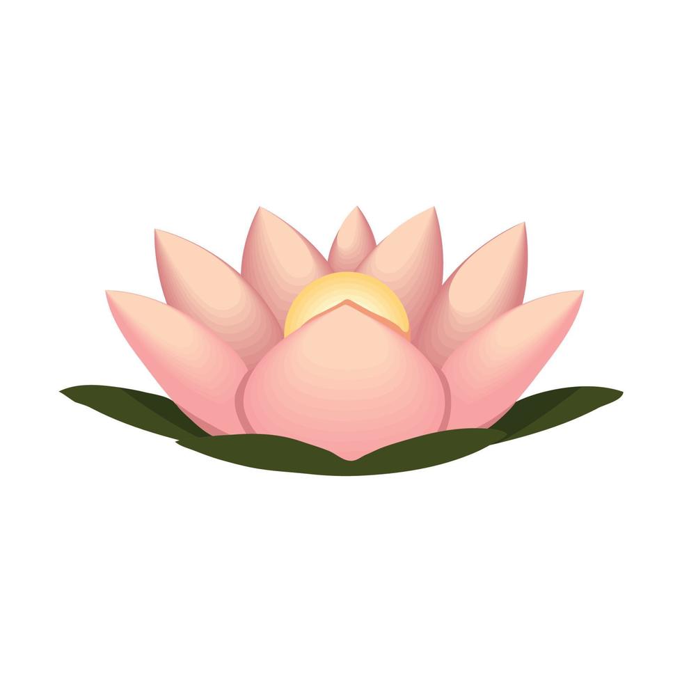 flower lotus and leaves vector