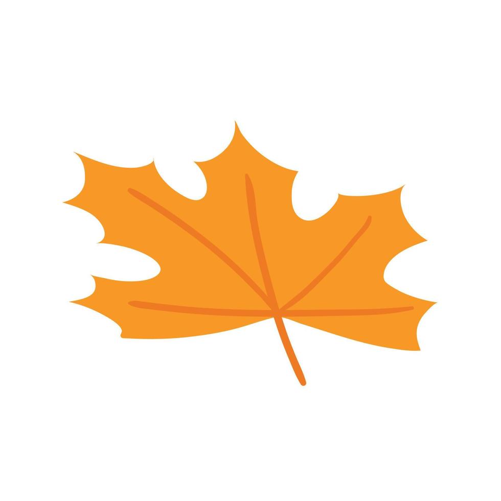 autumn dry leaf vector