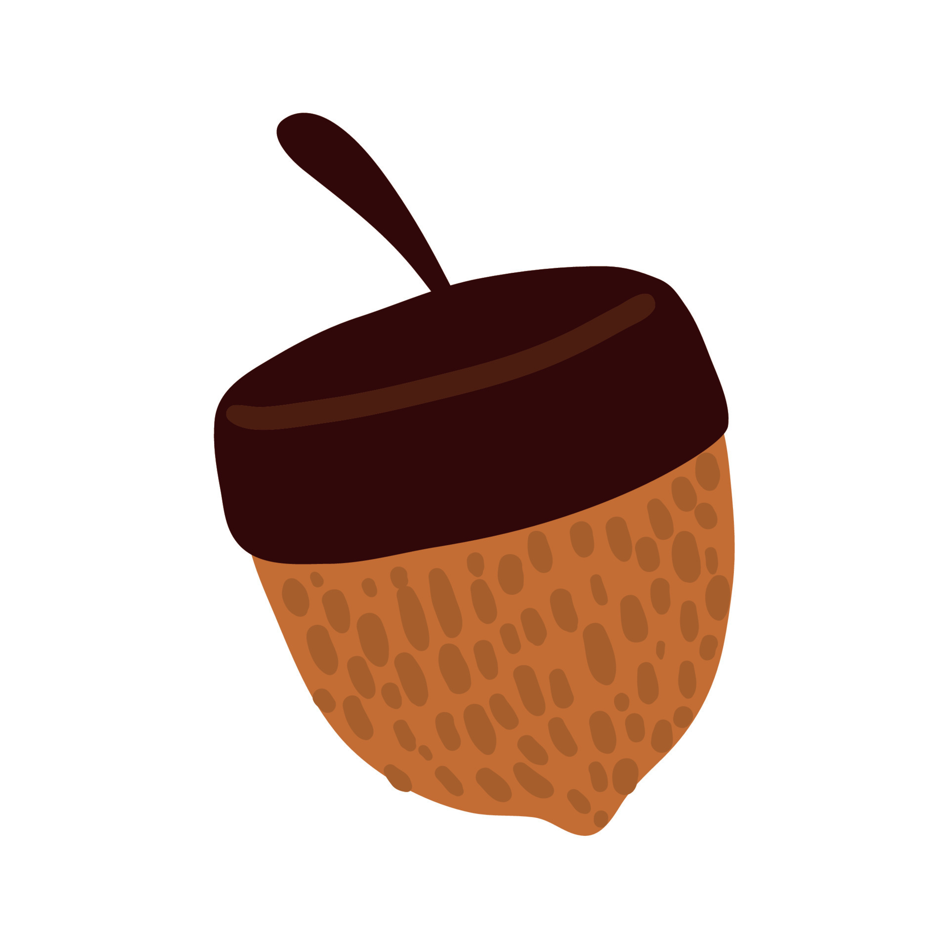 acorn nut nature 11209816 Vector Art at Vecteezy