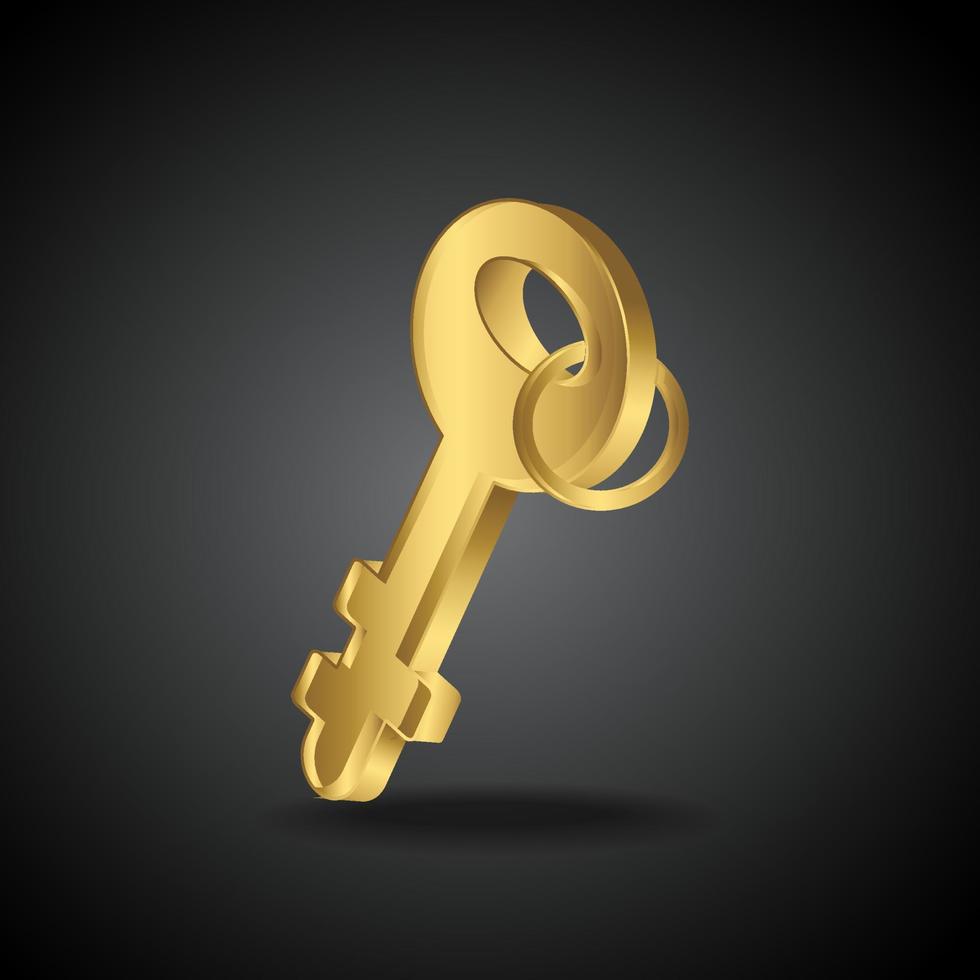 golden mockups.  gold key with black background vector