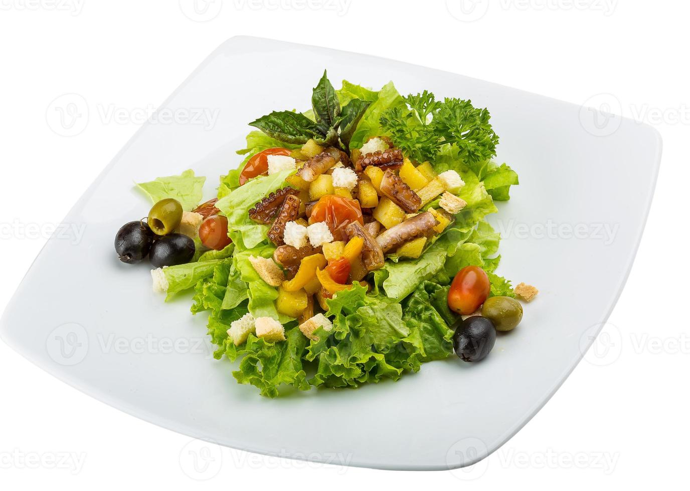 Octopus salad on the plate and white background photo