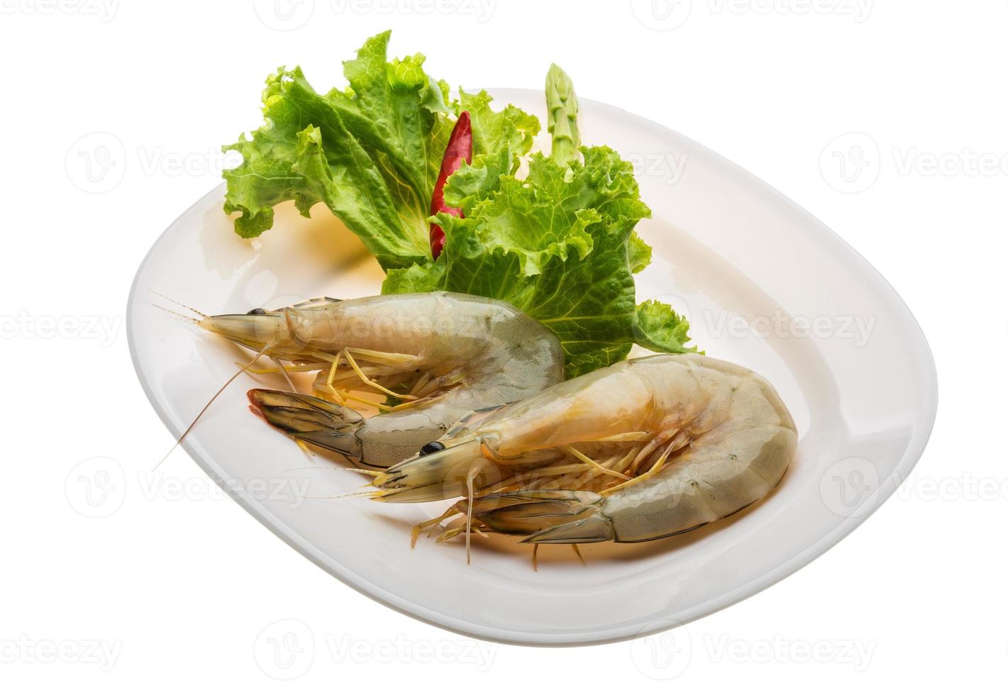 Tiger prawn on the plate and white background photo