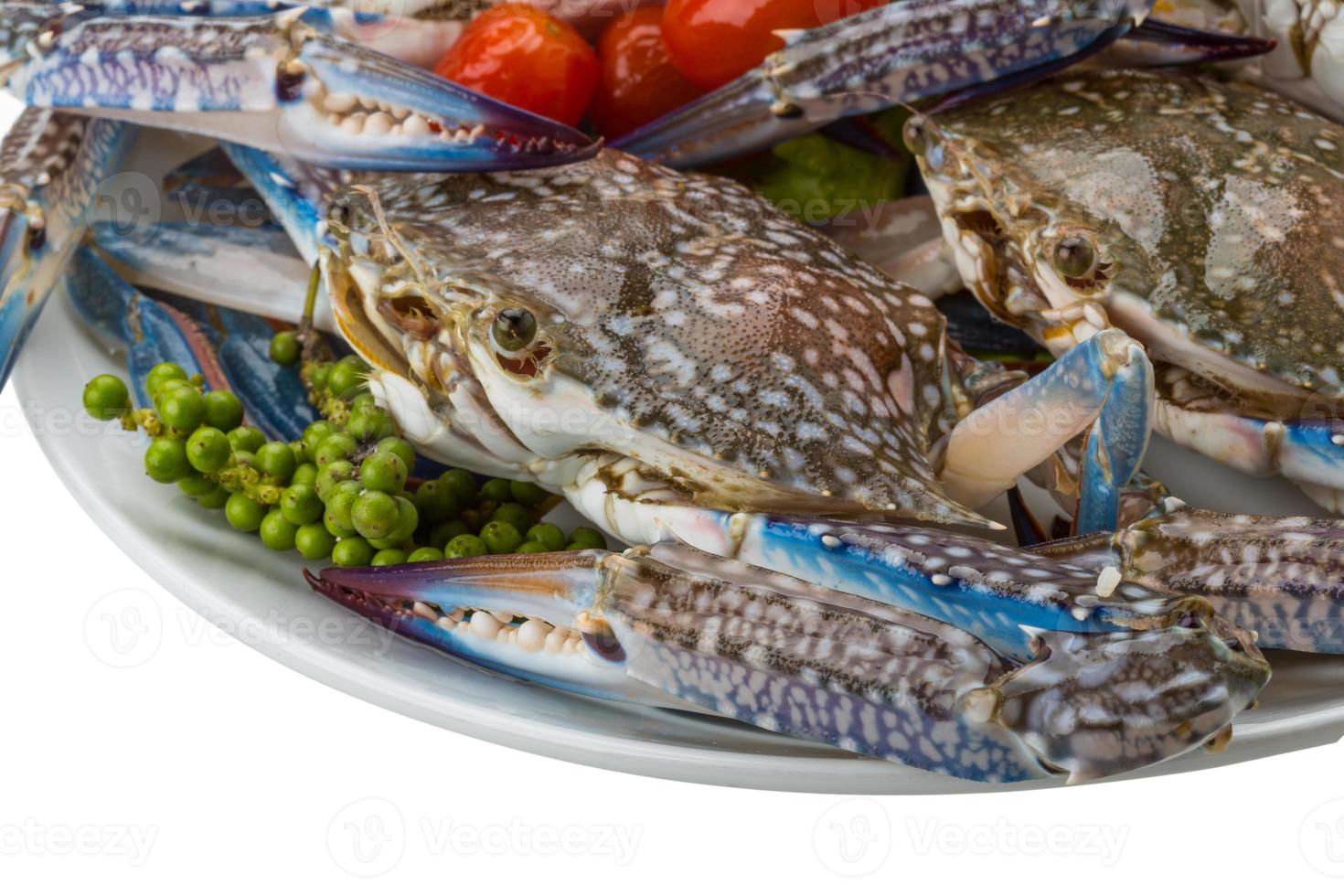 Raw blue crab on the plate and white background photo