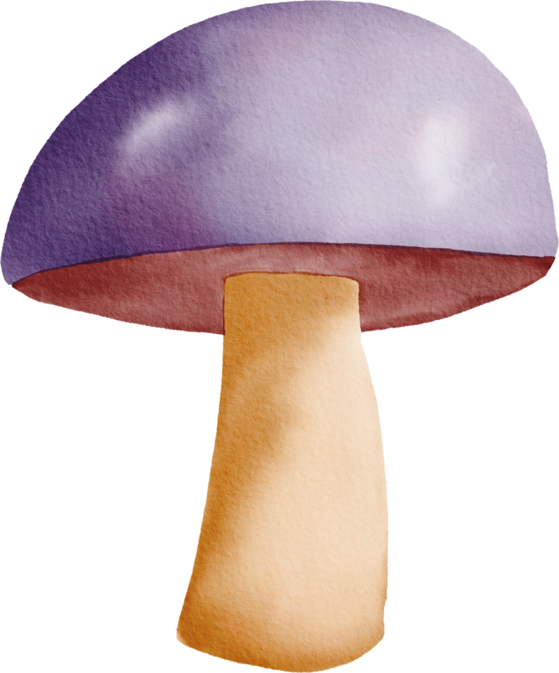 Watercolor colorful mushroom png