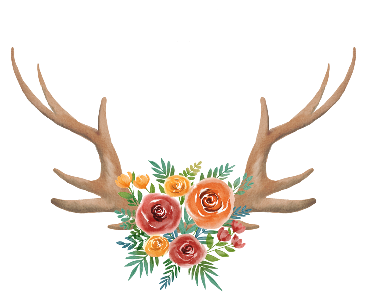 watercolor antler and flower png